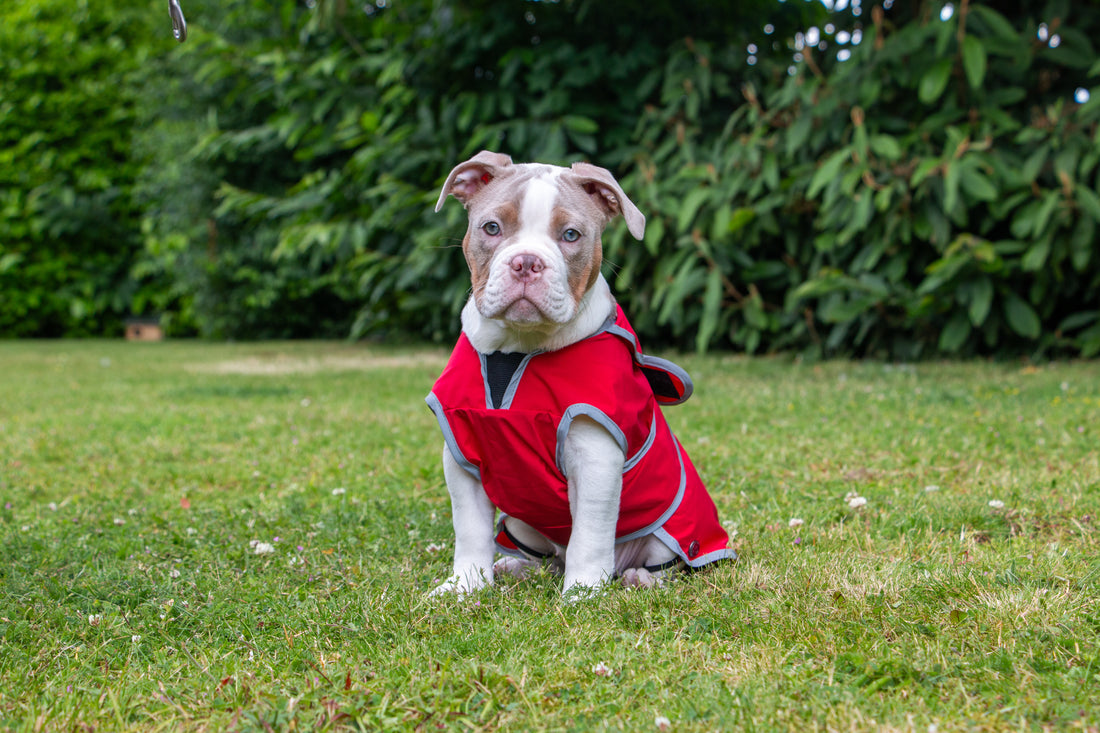 Stormguard Soft Shell